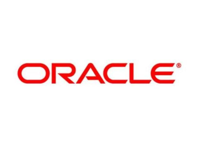Директор по продажам Oracle в госсекторе Владимир Лукин